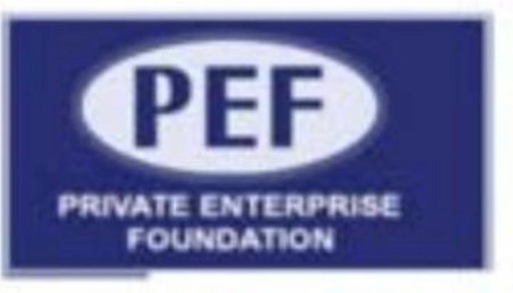 Private Enterprise Foundation
